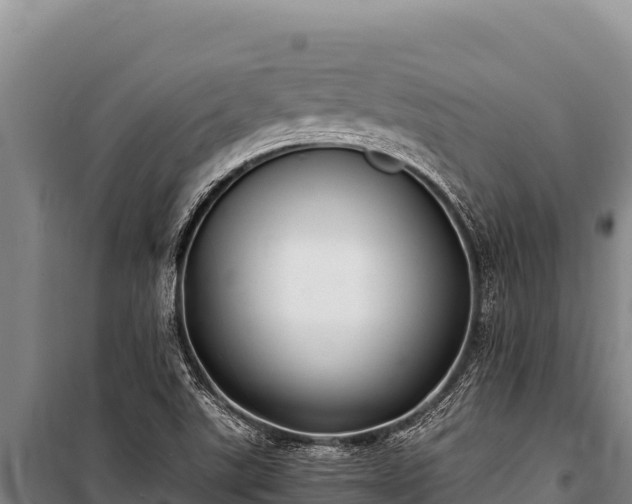 X0000100861507200806271147