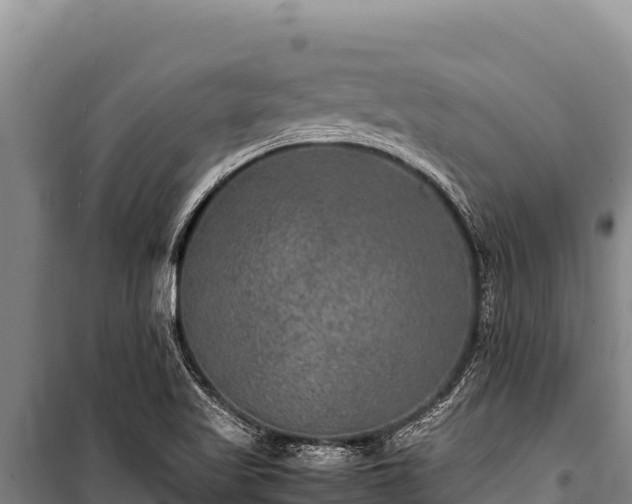 X0000100861509200806271147