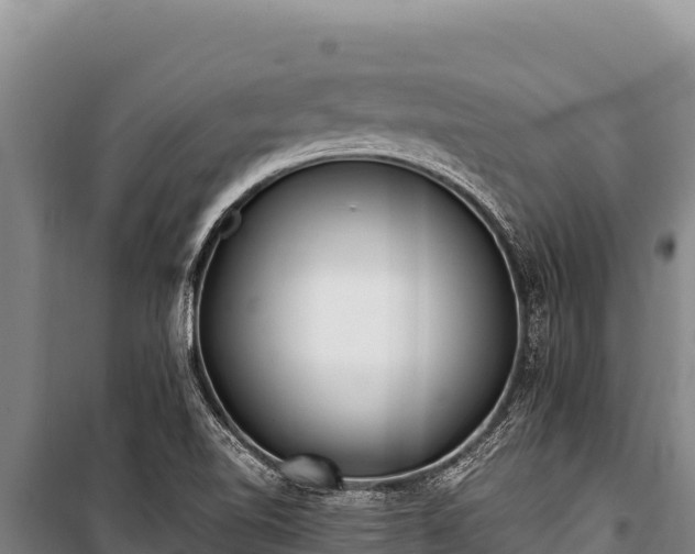 X0000100861510200806271147