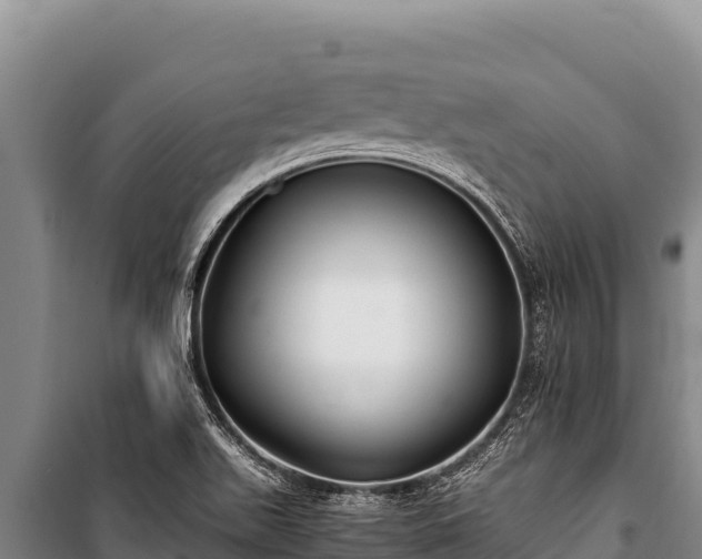 X0000100861511200806271147