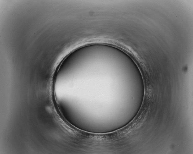 X0000100861512200806271147