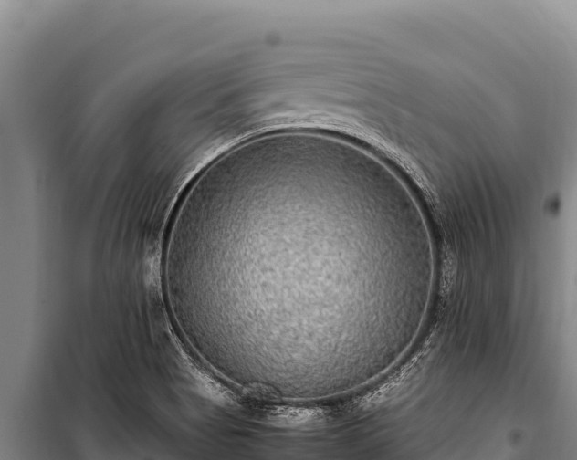 X0000100861513200806271147