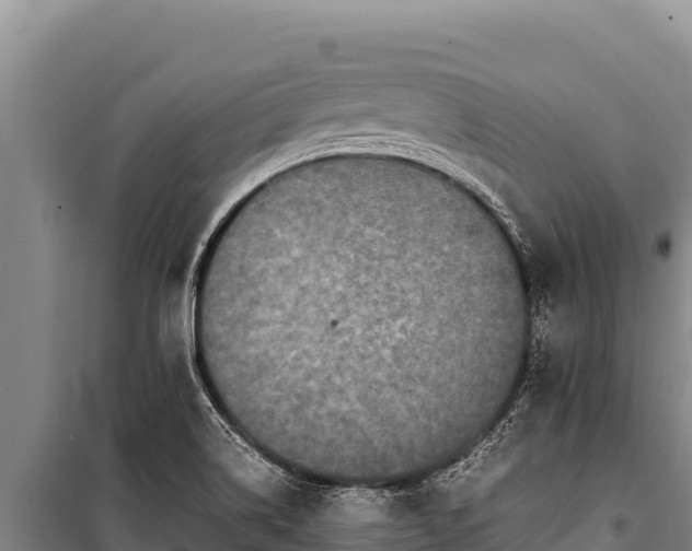 X0000100861514200806271147