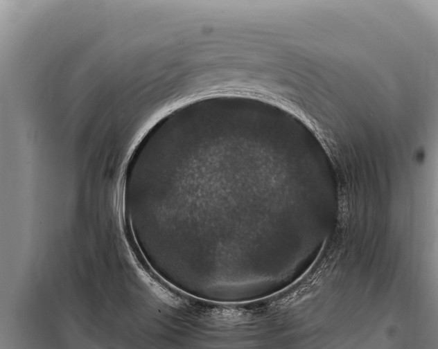 X0000100861515200806271147