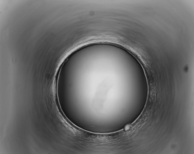 X0000100861516200806271147