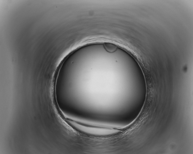 X0000100861518200806271147