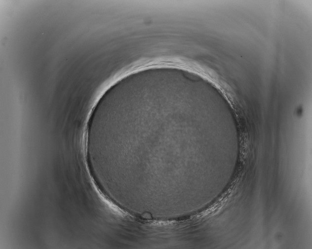 X0000100861519200806271147