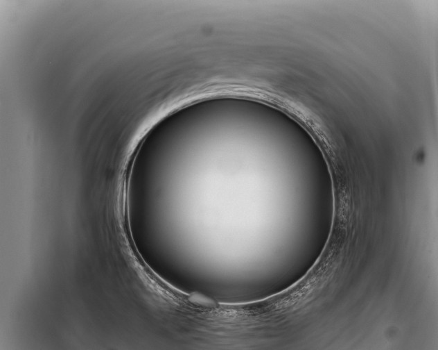 X0000100861520200806271147