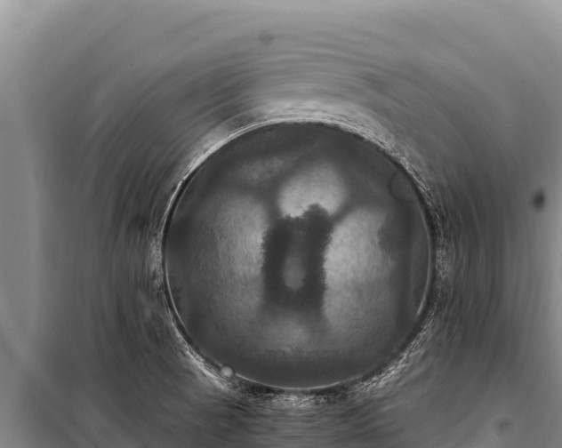 X0000100861521200806271147