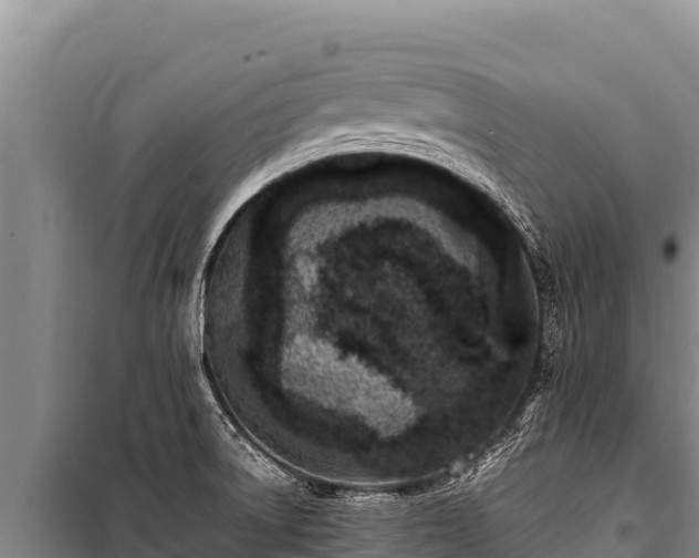 X0000100861522200806271147