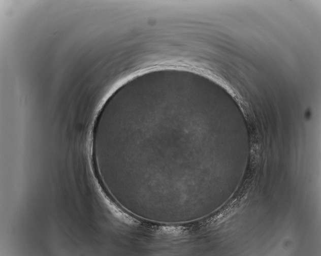 X0000100861523200806271147