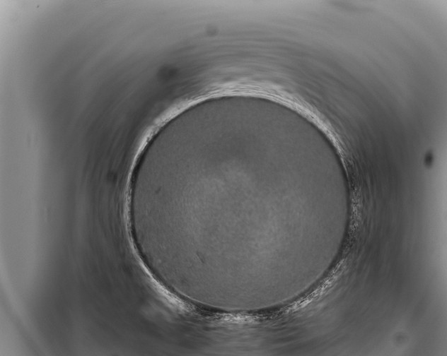 X0000100861525200806271147