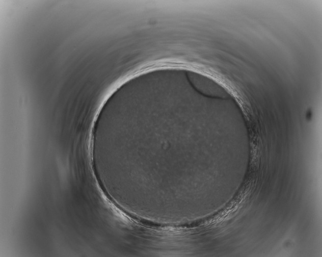 X0000100861527200806271147