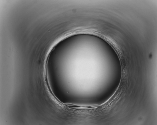 X0000100861528200806271147