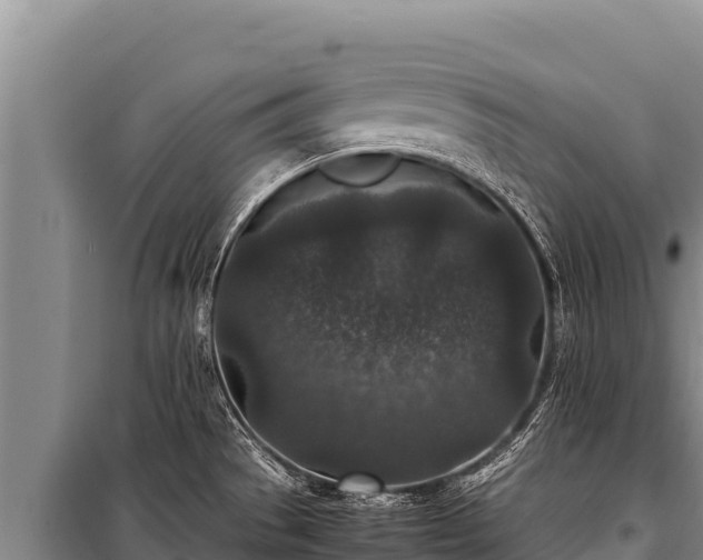 X0000100861529200806271147