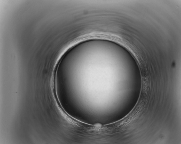 X0000100861531200806271147