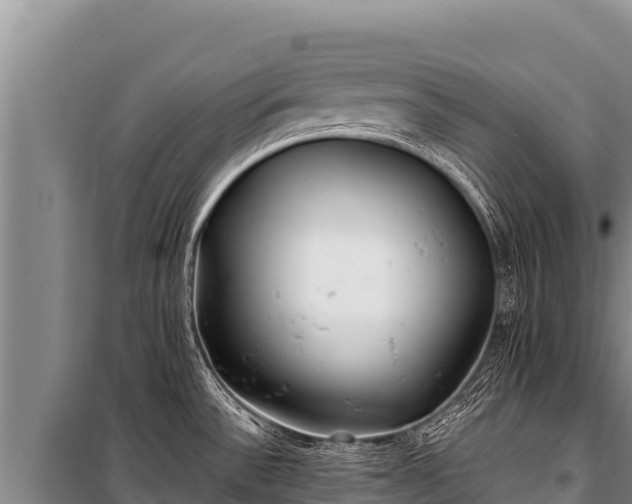 X0000100861532200806271147