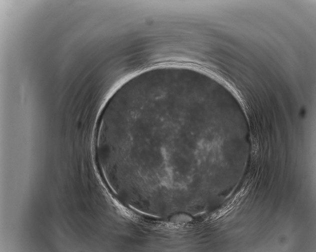 X0000100861533200806271147