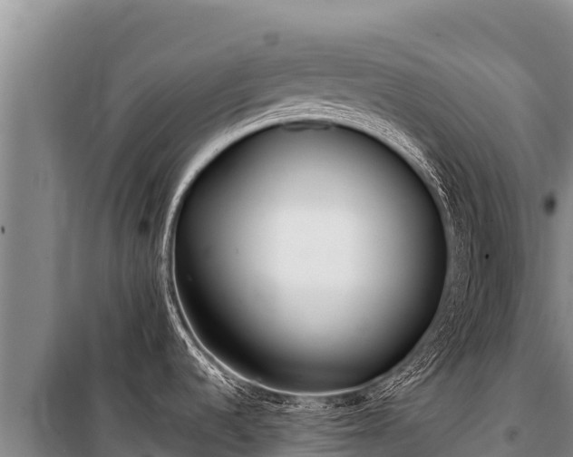 X0000100861536200806271148