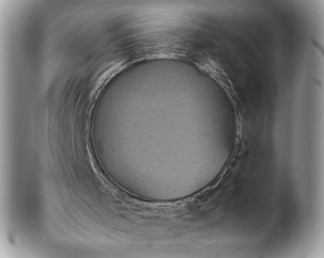 X0000100860001200807070945