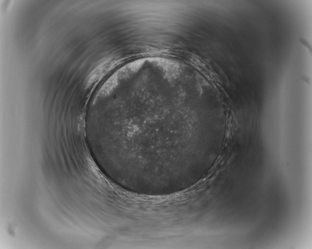 X0000100860002200807070945