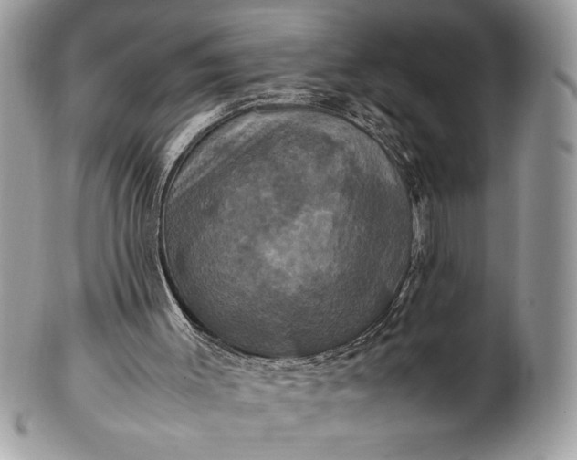 X0000100860003200807070945