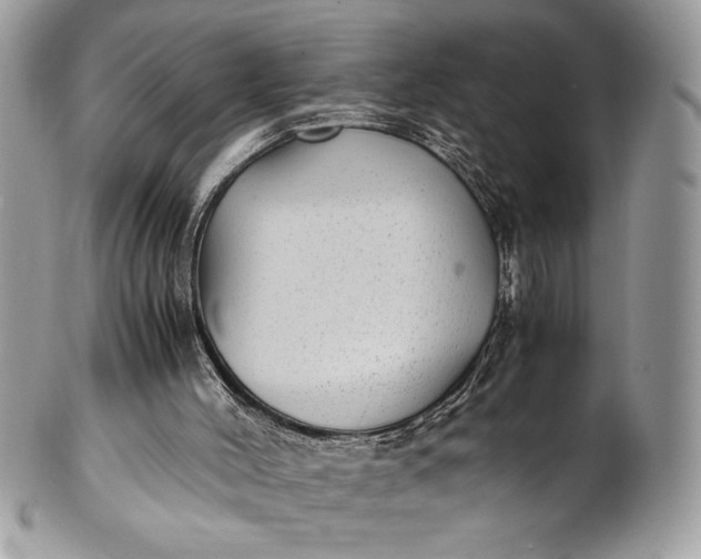 X0000100860004200807070945