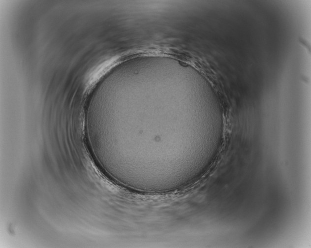 X0000100860005200807070945