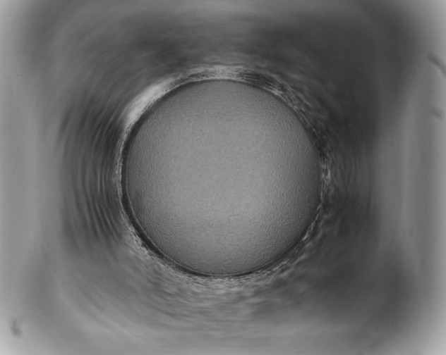 X0000100860006200807070945