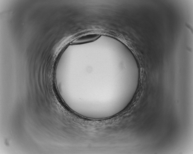 X0000100860007200807070945