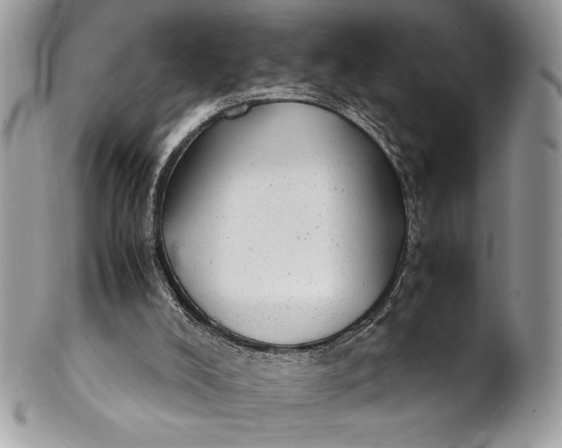 X0000100860008200807070945