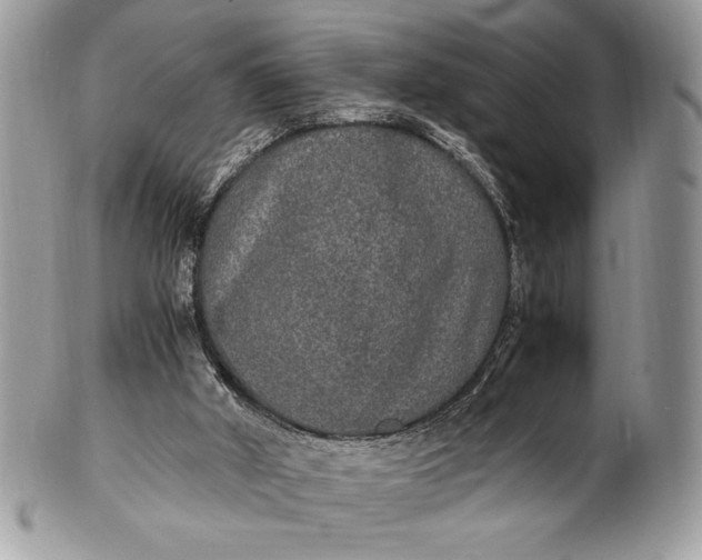 X0000100860010200807070945