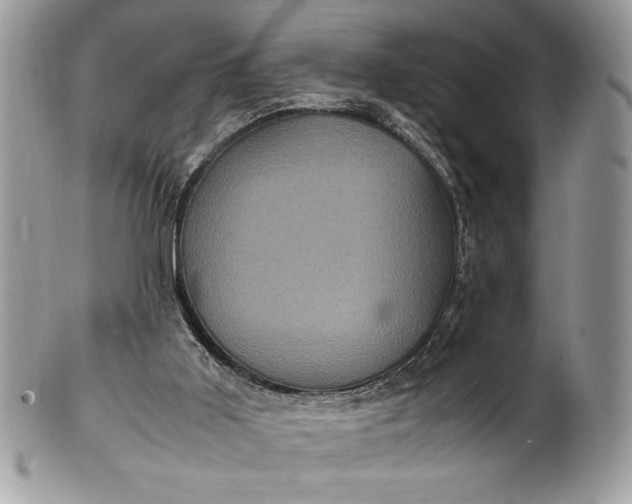 X0000100860011200807070945