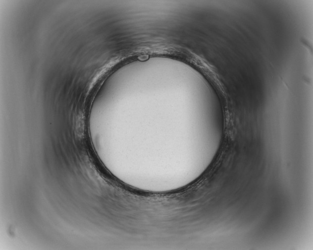 X0000100860012200807070945