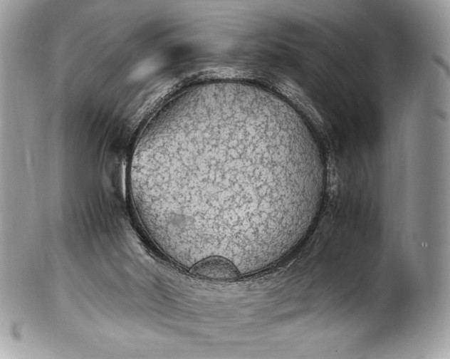 X0000100860014200807070945