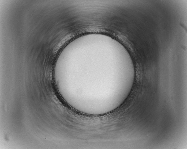 X0000100860015200807070945