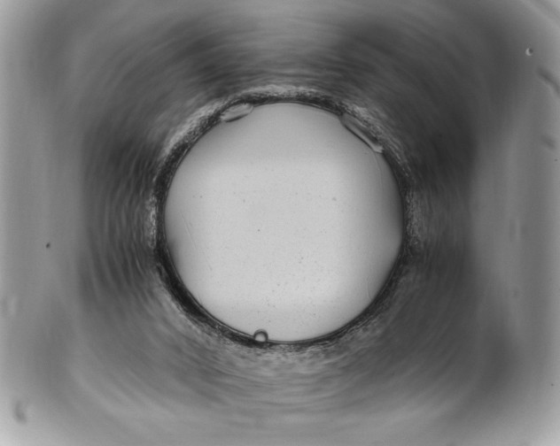 X0000100860016200807070945