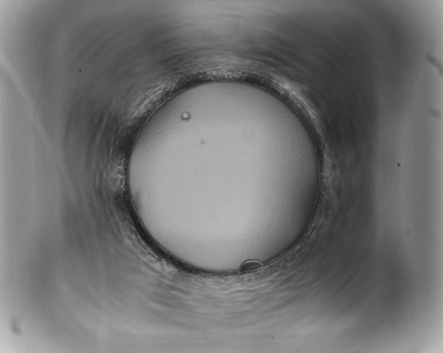 X0000100860017200807070945