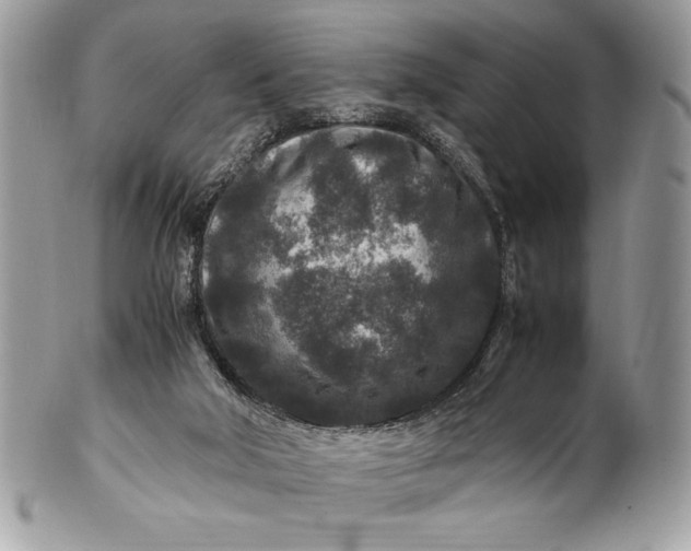 X0000100860018200807070945