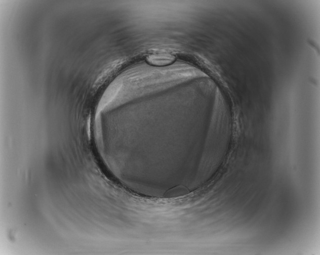 X0000100860019200807070945