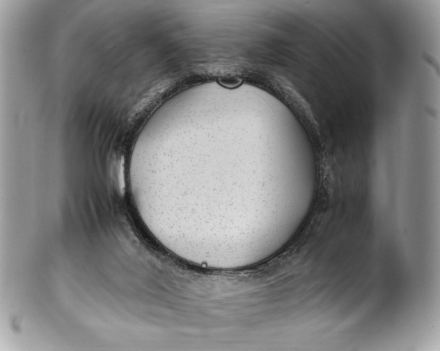 X0000100860020200807070945