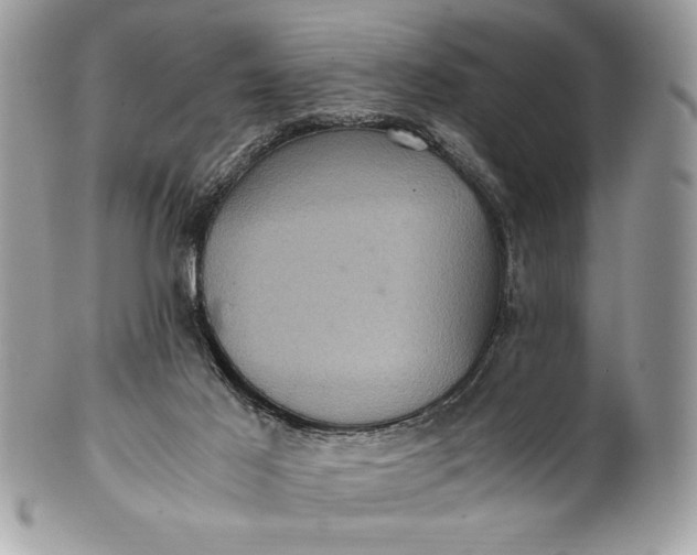 X0000100860021200807070945