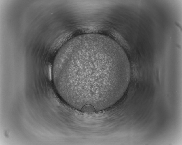 X0000100860022200807070945