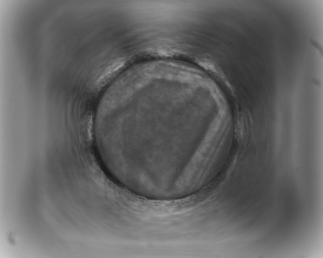 X0000100860023200807070945