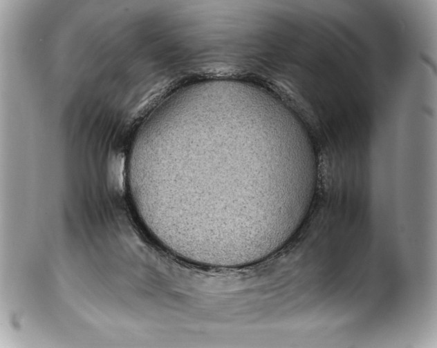 X0000100860024200807070945