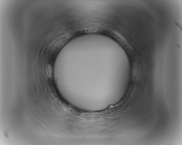 X0000100860025200807070945