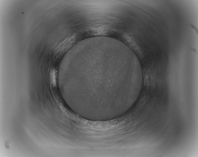 X0000100860026200807070944