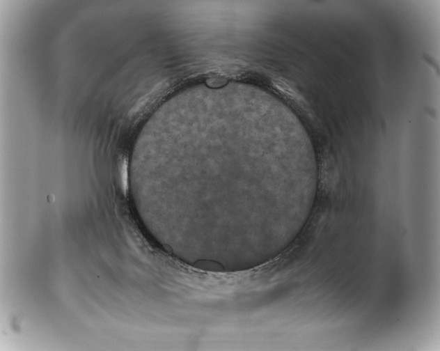 X0000100860027200807070944