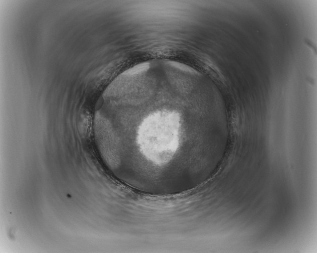 X0000100860029200807070944