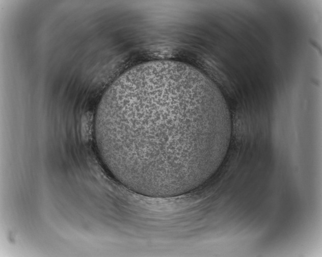 X0000100860030200807070944